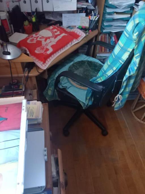 Or Working, Feel Good In The Retro Style Of A European Jiu Jitsu Champion! Apartment Budapest