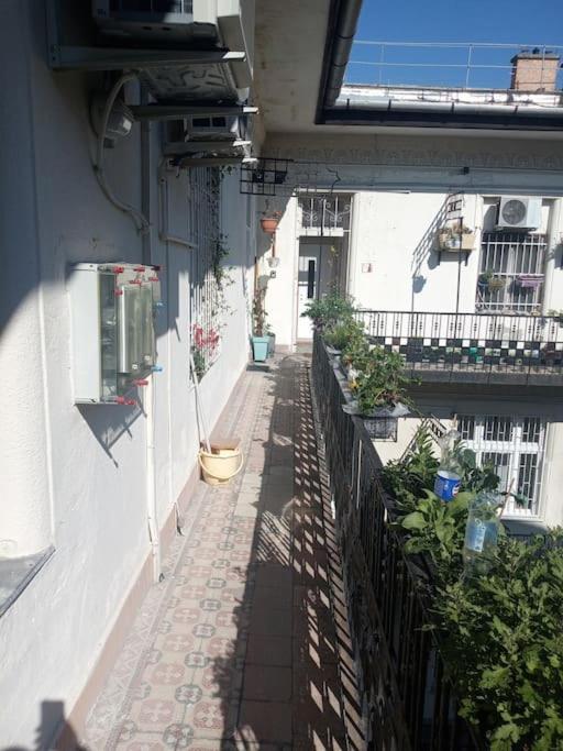 Or Working, Feel Good In The Retro Style Of A European Jiu Jitsu Champion! Apartament Budapeszt
