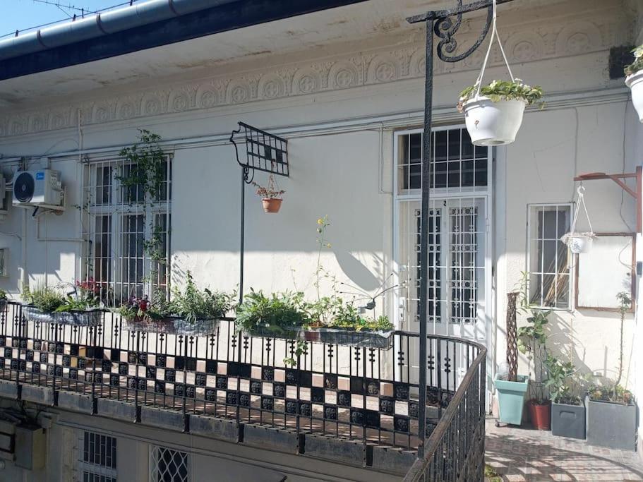 Apartment Or Working, Feel Good In The Retro Style Of A European Jiu Jitsu Champion! Budapest